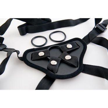 ToyFa Трусы-Harness - фото, отзывы ToyFa Трусы-Harness - фото, отзывы