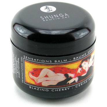 Shunga Sensations Balm, 60мл, Мужской бальзам, снижающий ощущения, вишня Shunga Sensations Balm, 60мл, Мужской бальзам, снижающий ощущения, вишня
