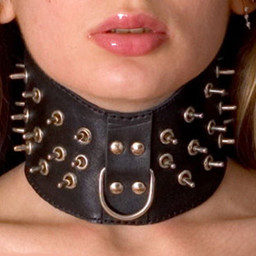 Toyfa-leather ошейник, черный, Лаковый Toyfa-leather ошейник, черный, Лаковый