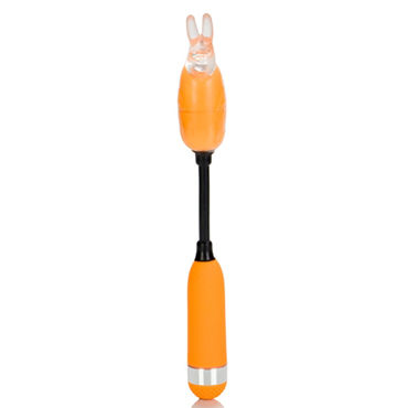 California Exotic Shanes World Campus Buzz Massagers, оранжевый - фото, отзывы California Exotic Shanes World Campus Buzz Massagers, оранжевый - фото, отзывы