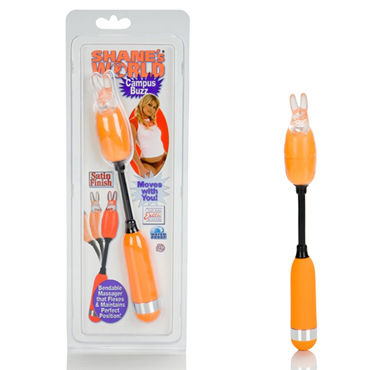 California Exotic Shanes World Campus Buzz Massagers, оранжевый, Виброяйцо со съемной насадкой California Exotic Shanes World Campus Buzz Massagers, оранжевый, Виброяйцо со съемной насадкой