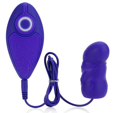 California Exotic Posh 10-Function Silicone Pleasure Packs, фиолетовое - фото, отзывы California Exotic Posh 10-Function Silicone Pleasure Packs, фиолетовое - фото, отзывы