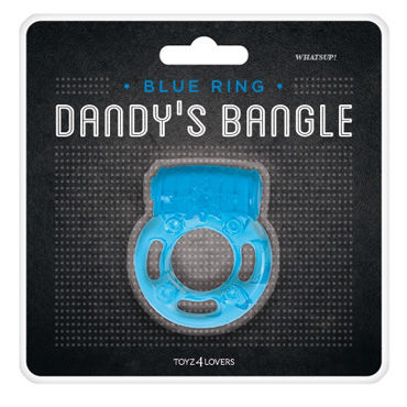 Toyz4lovers Dandys Bangle Whatsup! - фото, отзывы Toyz4lovers Dandys Bangle Whatsup! - фото, отзывы