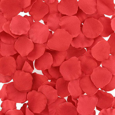 LoversPremium Rose Petals - фото, отзывы LoversPremium Rose Petals - фото, отзывы