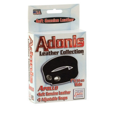 California Exotic Adonis Leather Collection Apollo - Кожаное кольцо на пенис - купить в секс шопе California Exotic Adonis Leather Collection Apollo - Кожаное кольцо на пенис - купить в секс шопе