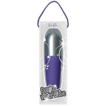 Toy Joy Funky Vibrette, фиолетовый - фото, отзывы Toy Joy Funky Vibrette, фиолетовый - фото, отзывы