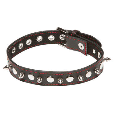 X-play Spiked Collar - фото, отзывы X-play Spiked Collar - фото, отзывы