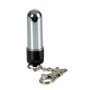 California Exotic Micro Vibro Keychains - фото, отзывы California Exotic Micro Vibro Keychains - фото, отзывы