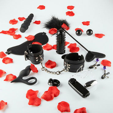 Toy Joy Lovetoy Starter Kit, Подарочный набор из десяти секс-игрушек Toy Joy Lovetoy Starter Kit, Подарочный набор из десяти секс-игрушек