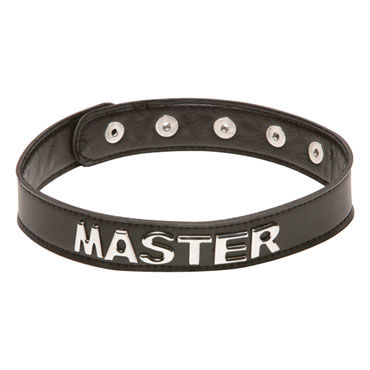 X-play Master Collar - фото, отзывы X-play Master Collar - фото, отзывы