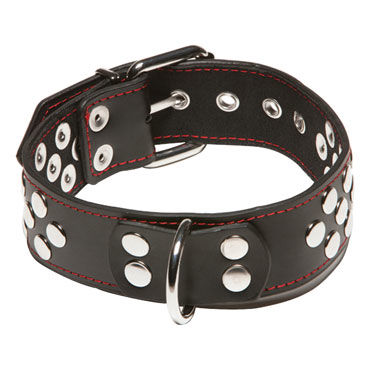 X-play Collar With D-Ring - фото, отзывы X-play Collar With D-Ring - фото, отзывы