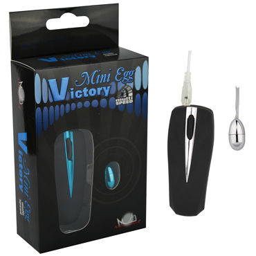 Howells Victory Mini Egg, серебристый, Мультискоростное мини-яйцо Howells Victory Mini Egg, серебристый, Мультискоростное мини-яйцо