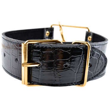 Pipedream Gold Collar&Leash - Стильный ошейник с поводком - купить в секс шопе Pipedream Gold Collar&Leash - Стильный ошейник с поводком - купить в секс шопе