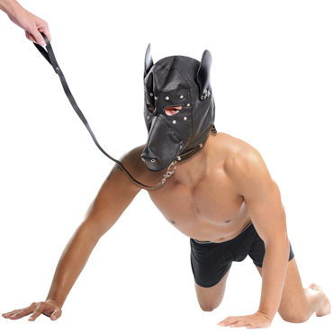 Pipedream Doggie Hood and Leash - фото, отзывы Pipedream Doggie Hood and Leash - фото, отзывы