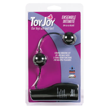 Toy Joy Ensemble Intimite Vibrating, черные - фото, отзывы Toy Joy Ensemble Intimite Vibrating, черные - фото, отзывы
