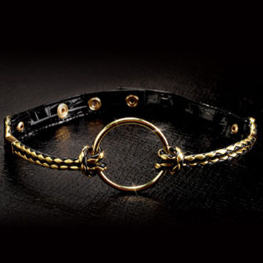 Pipedream Fetish Fantasy Gold Open Mouth Gag - фото, отзывы Pipedream Fetish Fantasy Gold Open Mouth Gag - фото, отзывы