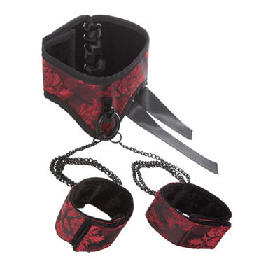 California Exotic Scandal Posture Collar with Cuffs - фото, отзывы California Exotic Scandal Posture Collar with Cuffs - фото, отзывы