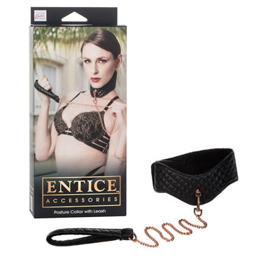 California Exotic Entice Posture Collar with Leash, Ошейник с поводком California Exotic Entice Posture Collar with Leash, Ошейник с поводком