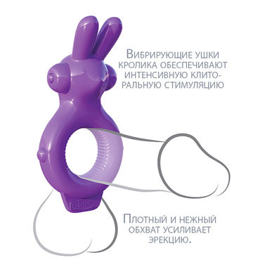 Pipedream Fantasy C-Ringz Ultimate Rabbit Ring - подробные фото в секс шопе Condom-Shop Pipedream Fantasy C-Ringz Ultimate Rabbit Ring - подробные фото в секс шопе Condom-Shop