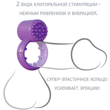 Pipedream Fantasy C-Ringz Sensual Touch Love Ring, фиолетовое - подробные фото в секс шопе Condom-Shop Pipedream Fantasy C-Ringz Sensual Touch Love Ring, фиолетовое - подробные фото в секс шопе Condom-Shop