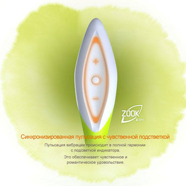 Zini Zook, черно-золотой - фото, отзывы Zini Zook, черно-золотой - фото, отзывы