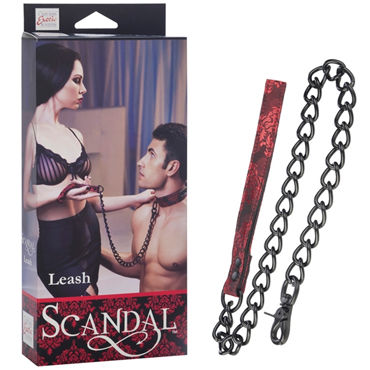 California Exotic Scandal Leash, Цепь-поводок California Exotic Scandal Leash, Цепь-поводок