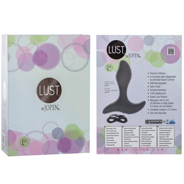 Jopen Lust L11, серый - Перезаряжаемый вибромассажер простаты - купить в секс шопе Jopen Lust L11, серый - Перезаряжаемый вибромассажер простаты - купить в секс шопе