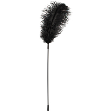 Bad Kitty Feather, черное Перышко с длинной ручкой